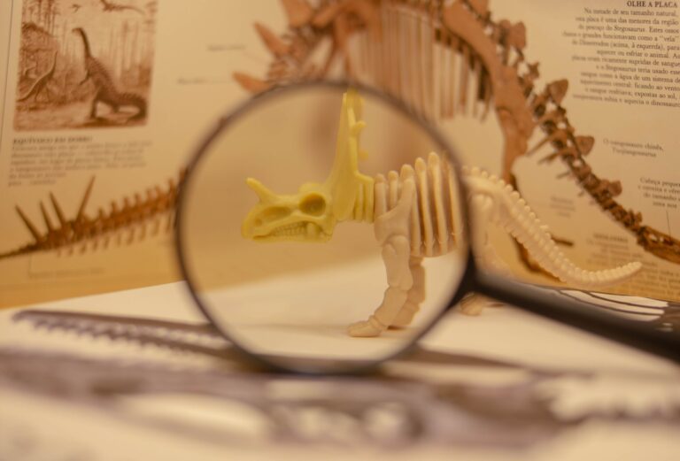 Six Paleontologists With Notable Dinosaur Discoveries